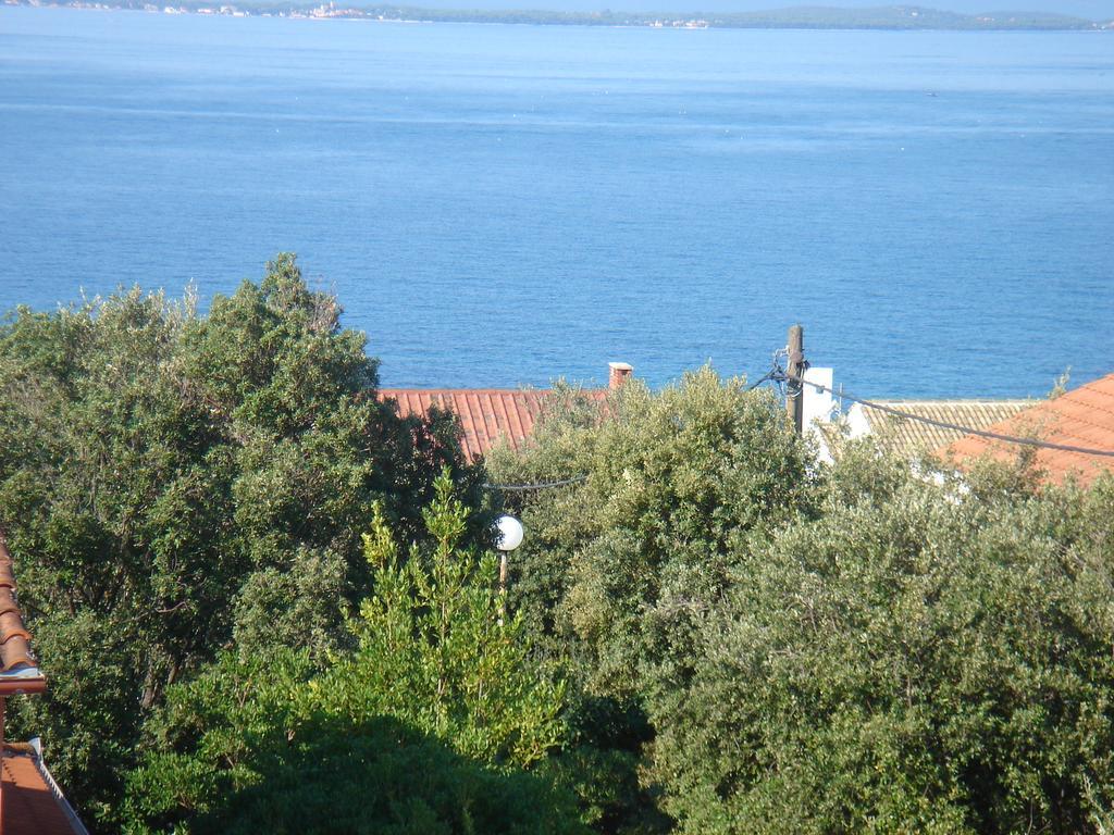 Villa Laurus Kožino Exterior foto